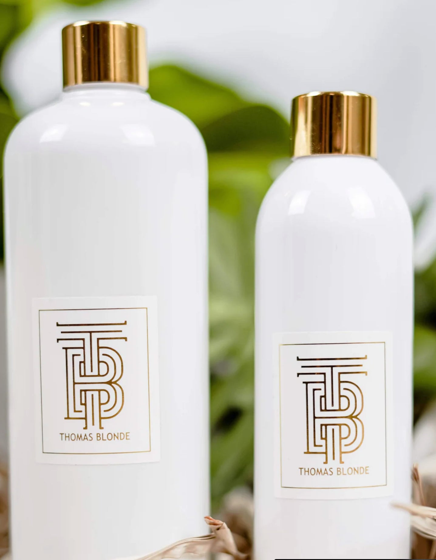 Joshua Tree-Diffusing Oil