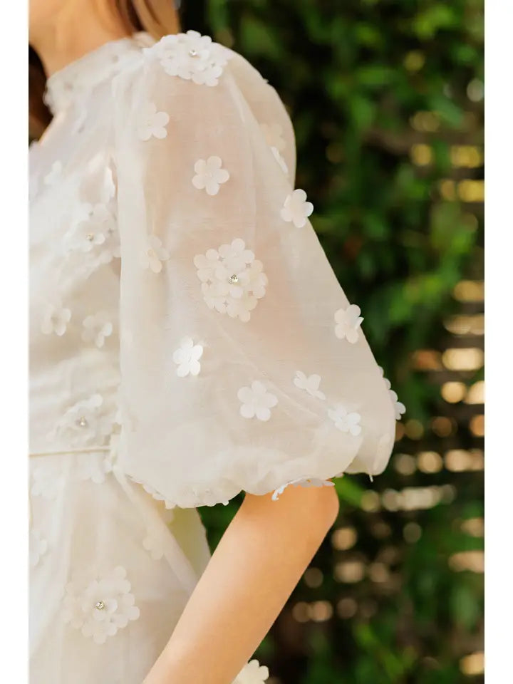 The Ivory Plains Mini