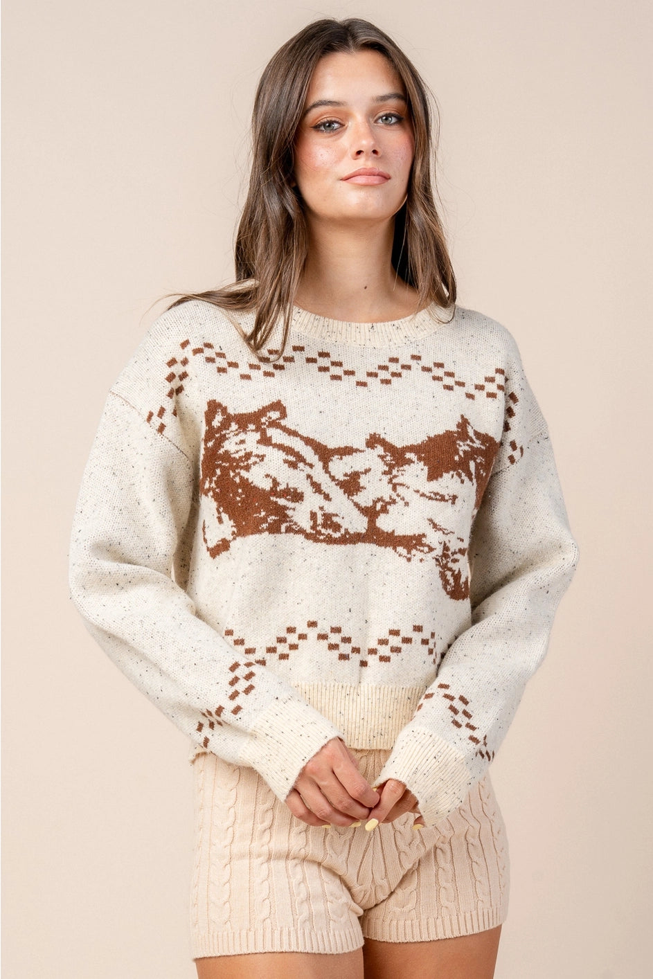 SS Saddle & Sage Sweater