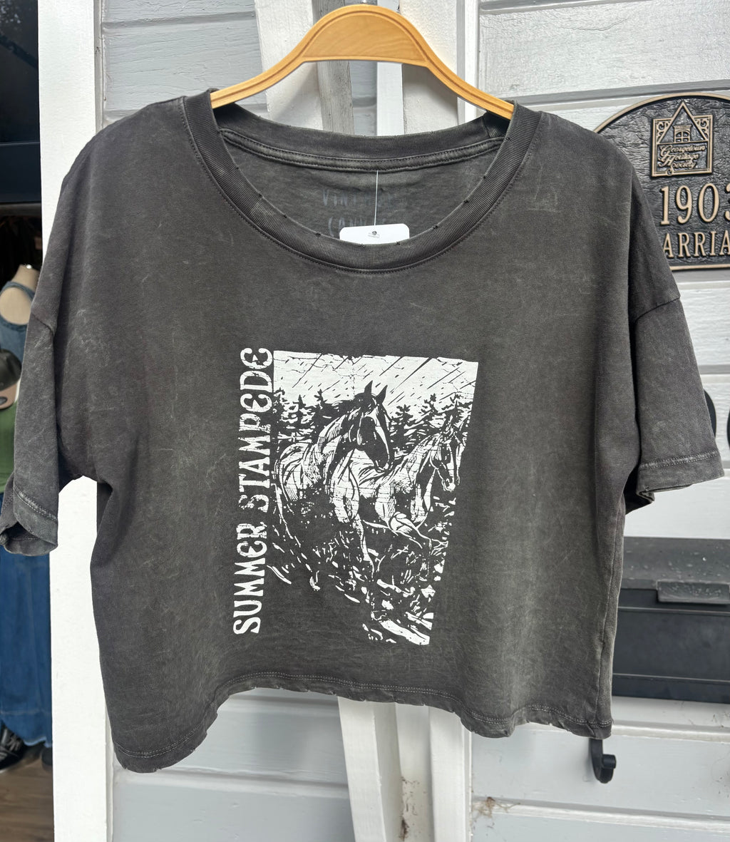 Desert Stampede Cropped Vintage Tee