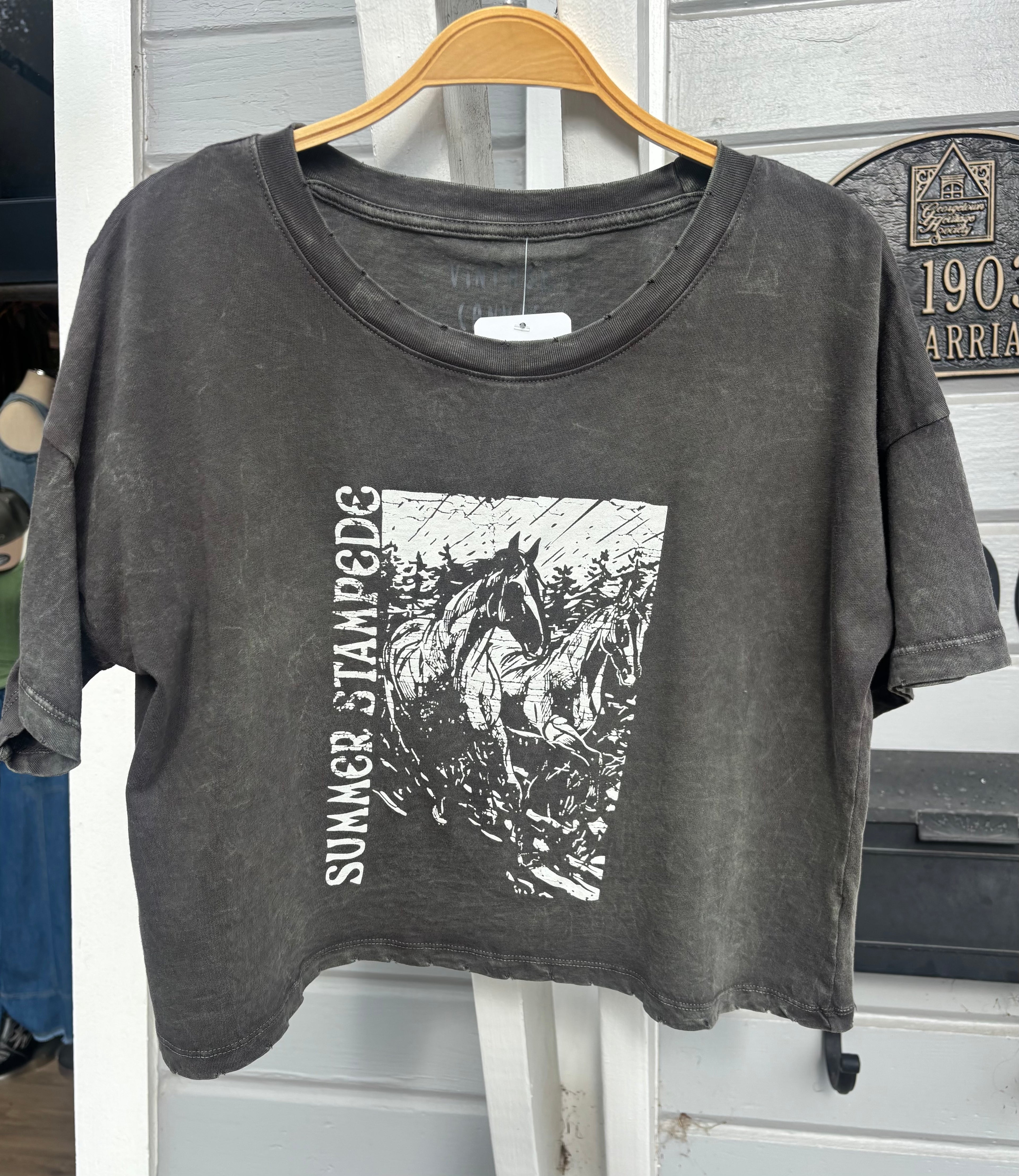Desert Stampede Cropped Vintage Tee