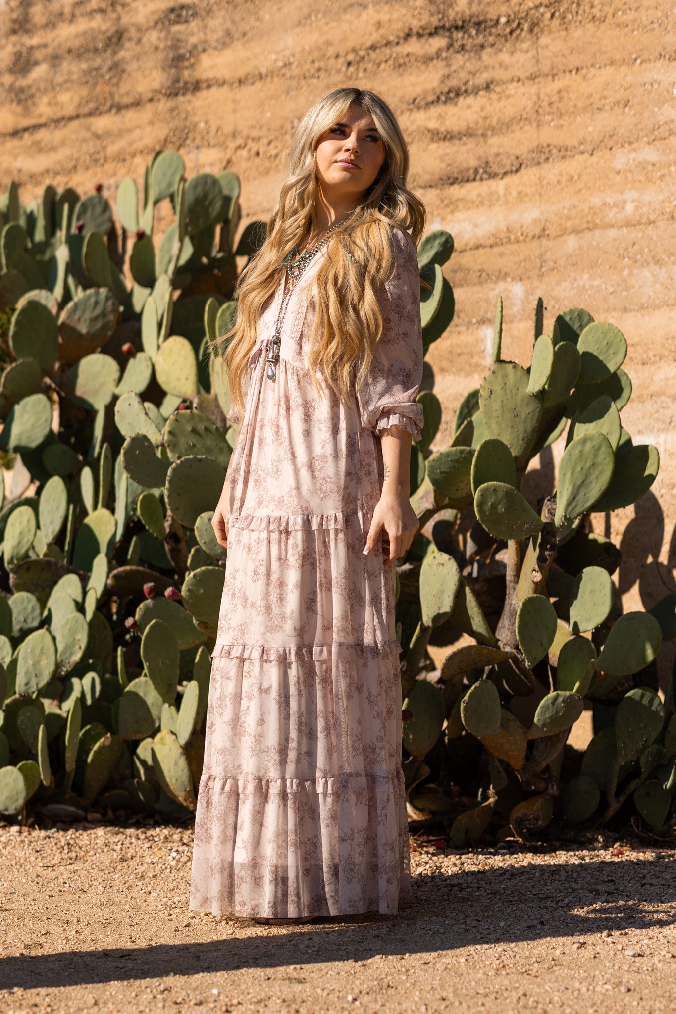 Blush Whisper Maxi Dress