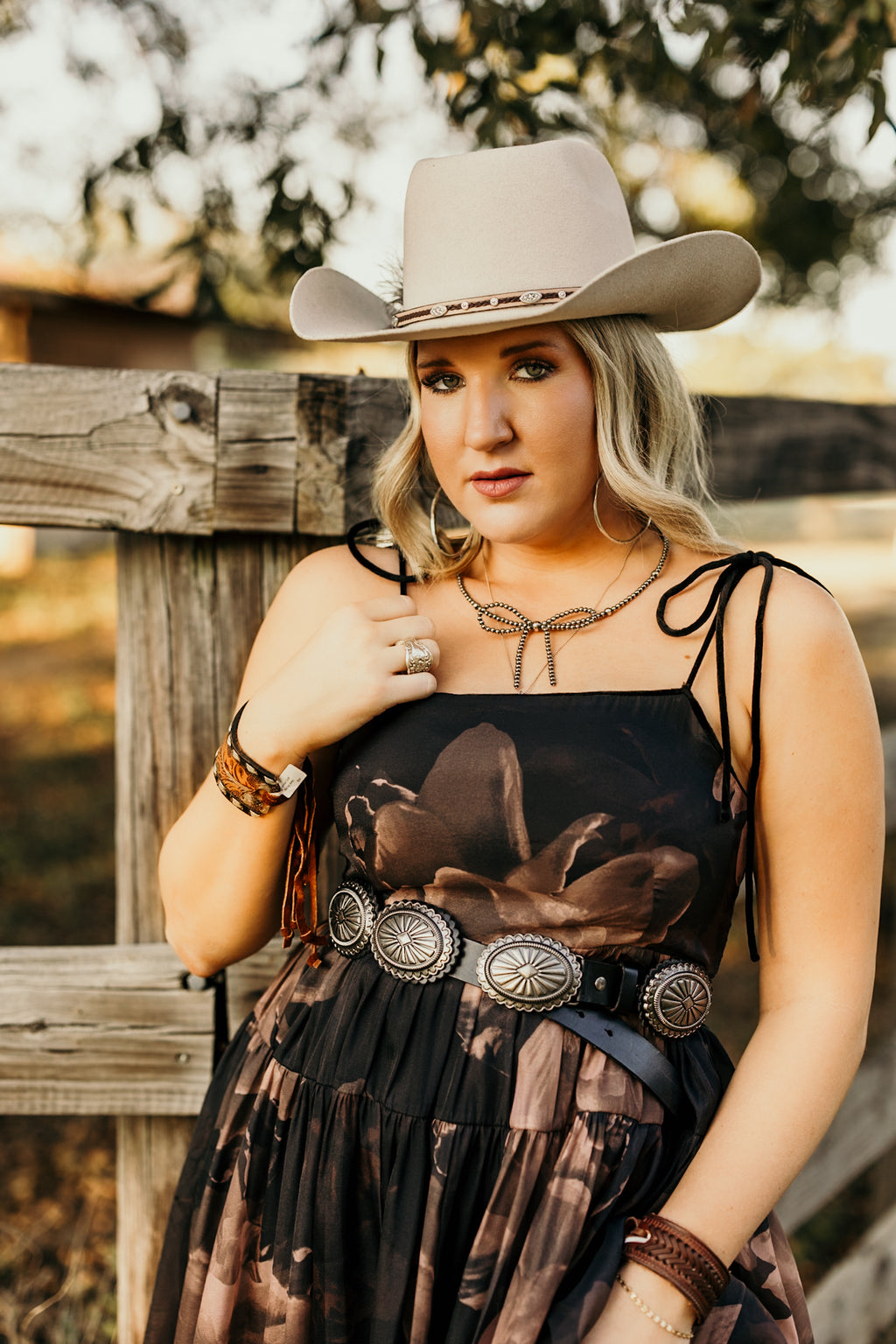 Midnight Roseveil Dres