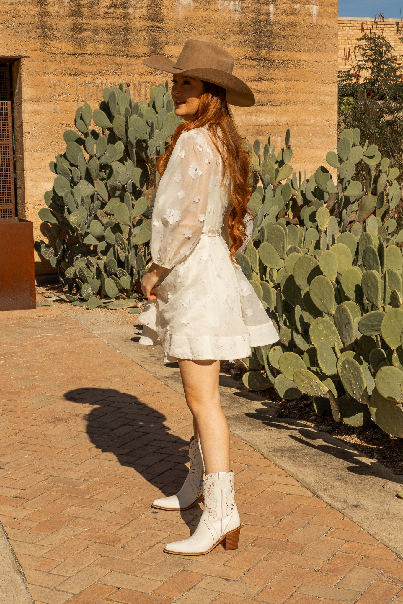 The Ivory Plains Mini