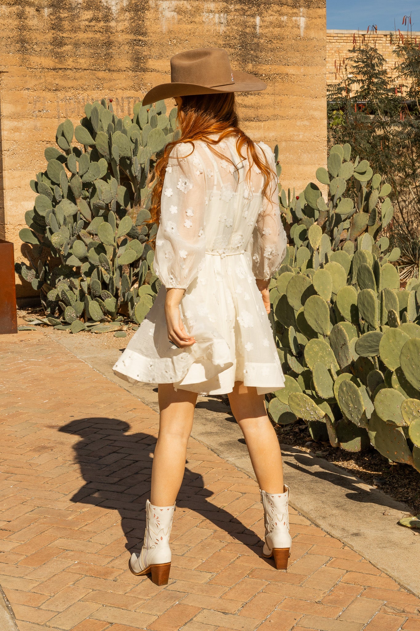 The Ivory Plains Mini