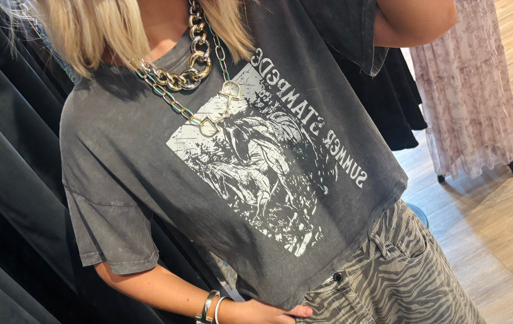 Desert Stampede Cropped Vintage Tee