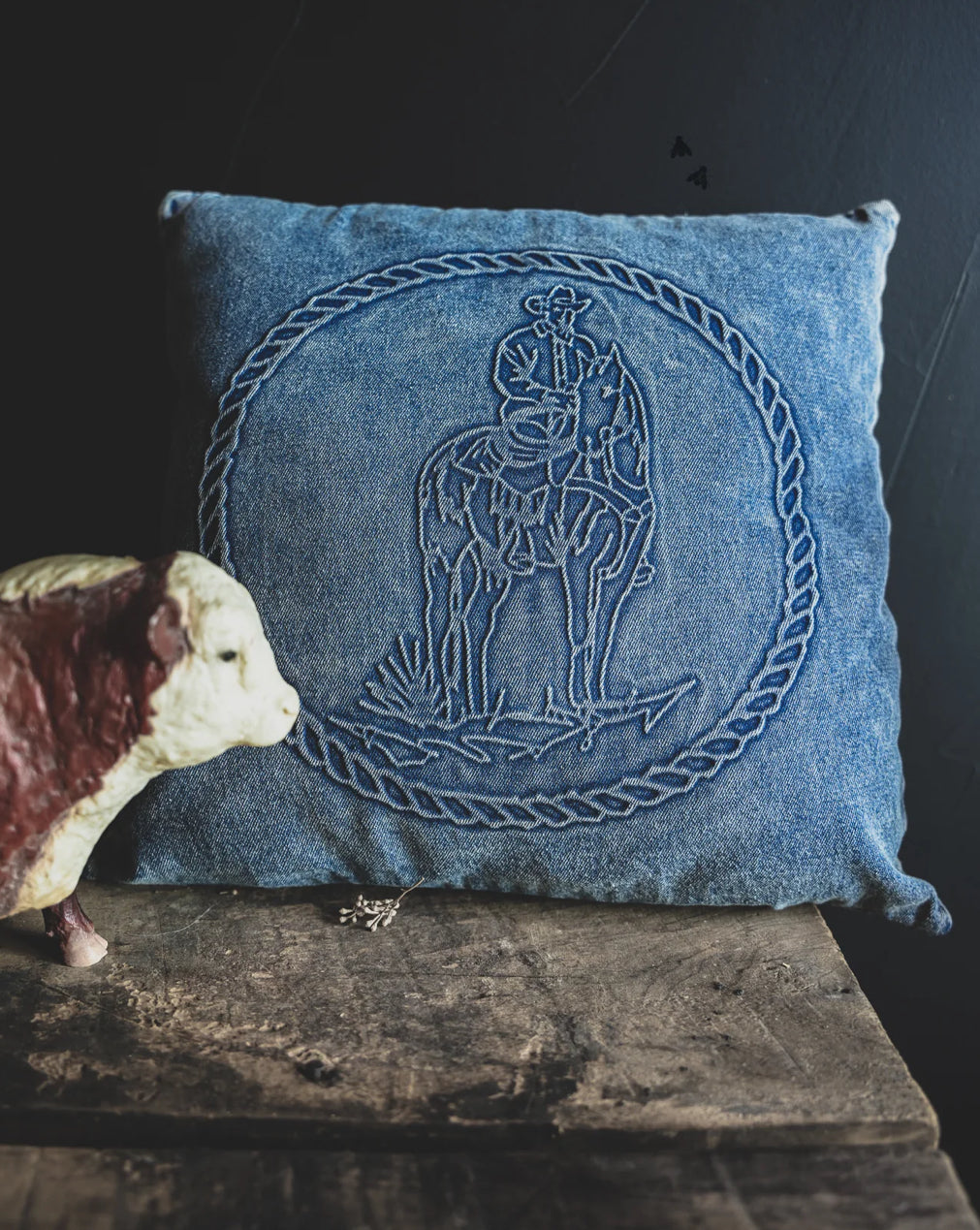 Western Pillows