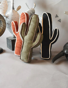 Western Pillows