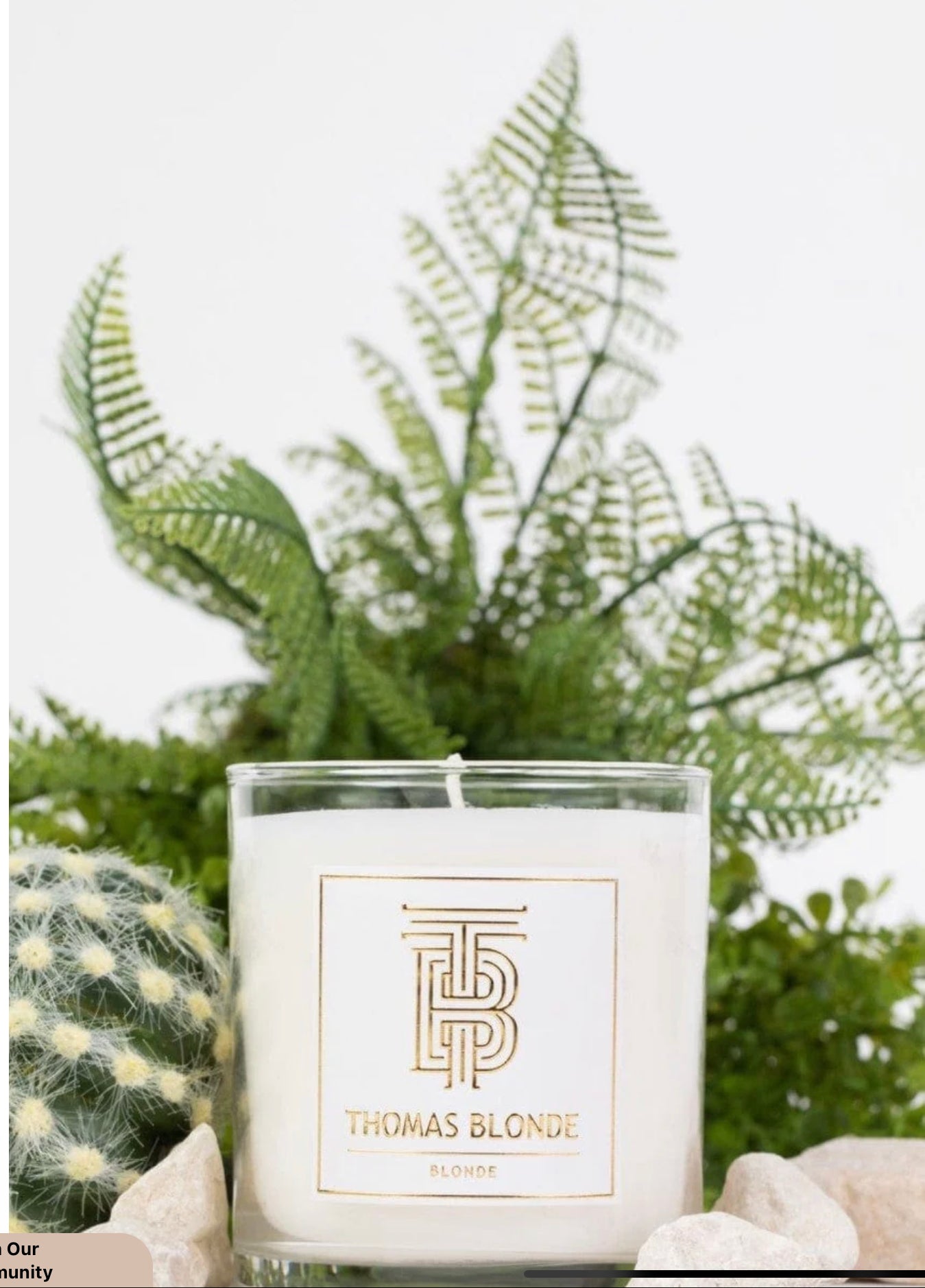Signature 12oz Candle