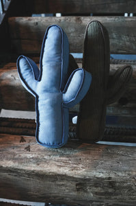 Western Pillows