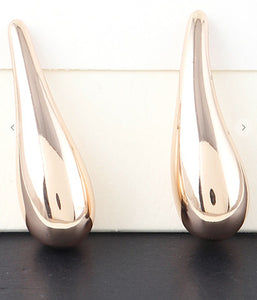 Polished Drop Earrings