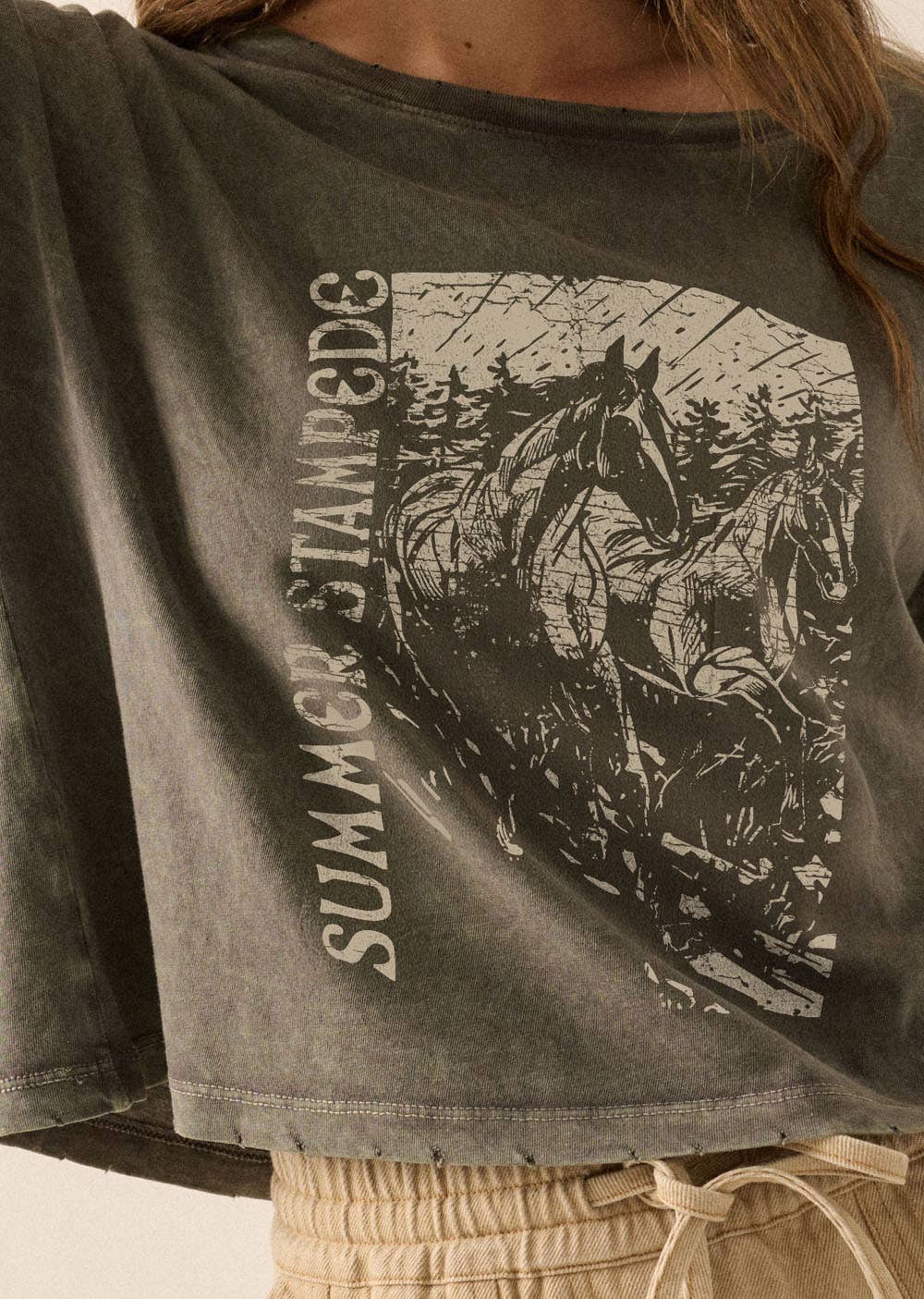 Desert Stampede Cropped Vintage Tee